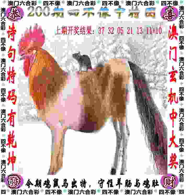 >一肖一码100‰能中多少钱
